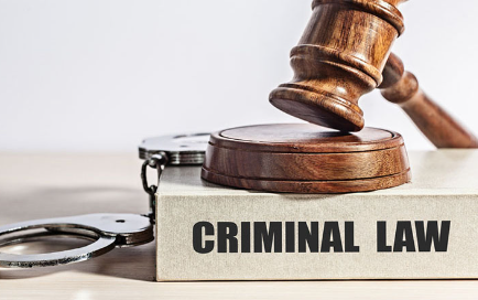 Criminal Defense Lawyer