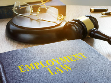 Employment & Labour Lawyer