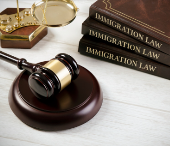 Immigration Lawyer