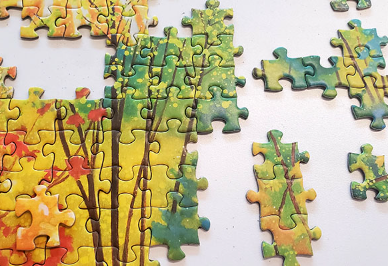 Jigsaw Puzzle