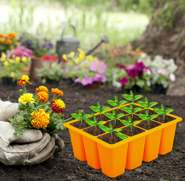 Seedling Tray