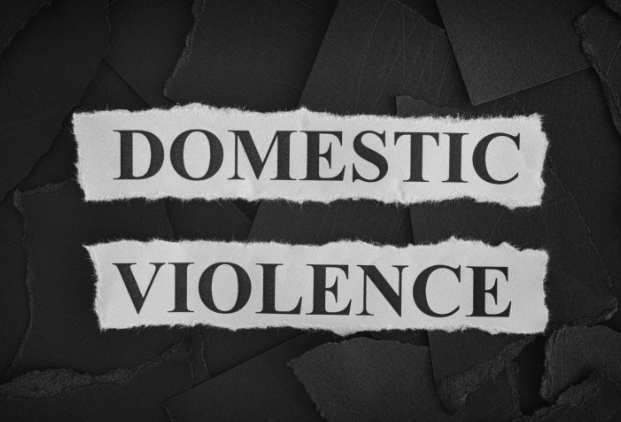 Domestic Violence Counselor