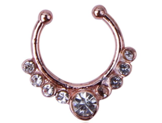 Hoop Nose Ring
