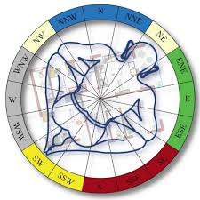 Vastu Consultant