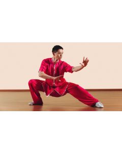 Baguazhang Kung Fu Class