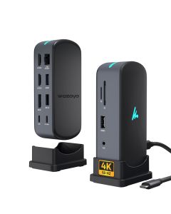 Type C 11 in 1 Wozoyo Docking Station