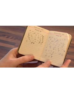 Shorthand diary