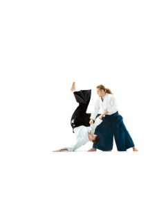 Aikido Classes - 5