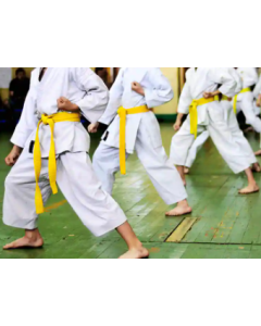 Shotokan Karate Class
