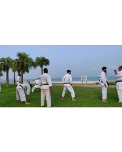 Goju-Ryu Karate Class