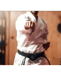 Shito-Ryu Karate Class