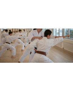 Wado-Ryu Karate Class