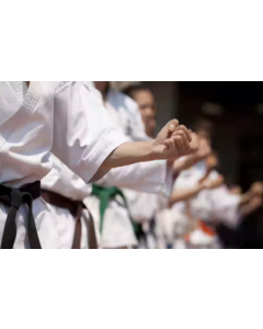 Shukokai Karate Class