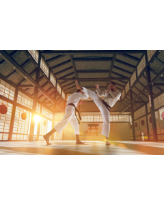 Shindo Jinen Ryu Karate Class