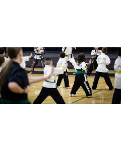 Genseiryu Karate Class