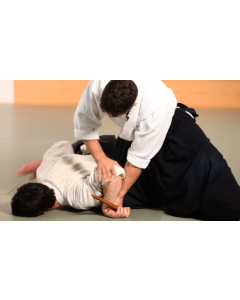 Basic Aikido Class