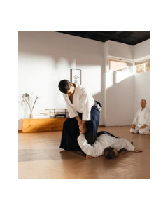 Adult Technician Aikido Class