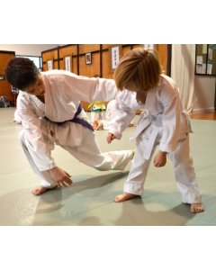 Youth Belth Aikido Class