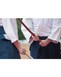 Youth Weapon Aikido Class