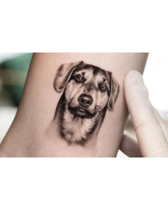 Animal Tattoo