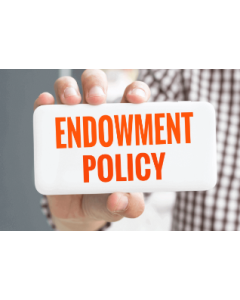 Endowment Policy