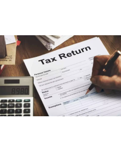Tax Return Filing Agent