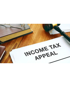 Income Tax Appeal