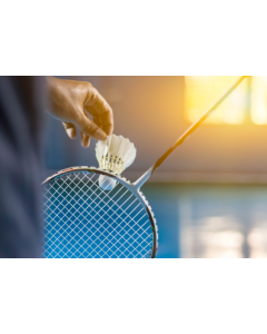 Badminton Training