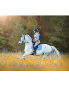 Horse Riding Training