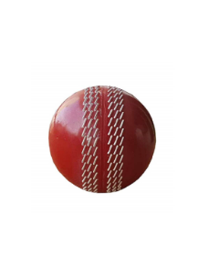 Cricket Ball