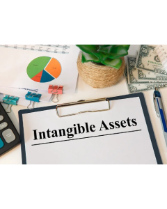 Valuation Of Brands, Goodwill & Intangible Assets