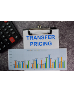 Valuation for Transfer Pricing