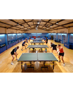 Table Tennis Club