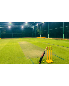 Cricket Turf