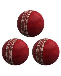 Cricket Ball Set