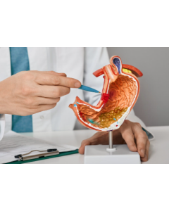 Gastroenterologist - 7