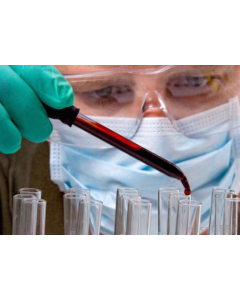 Hematologis - 7