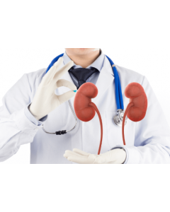Urologist - 7