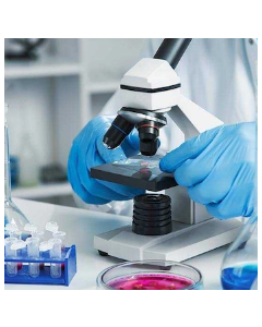 Pathology Lab - 1