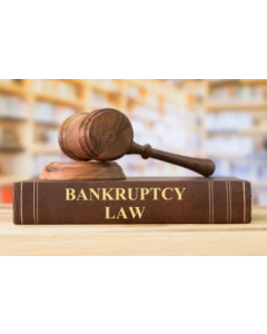 Bankruptcy Lawyer - 1