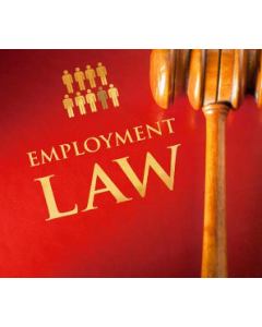 Employment & Labour Lawyer - 1