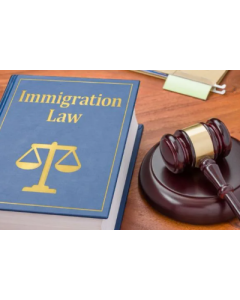 Immigration Lawyer - 1