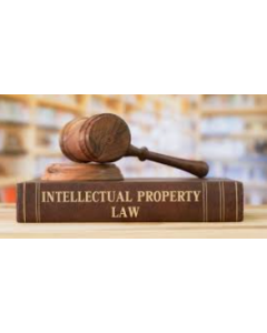 Intellectual Property Lawyer - 1