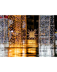 Expert Lighting Decoration - 5