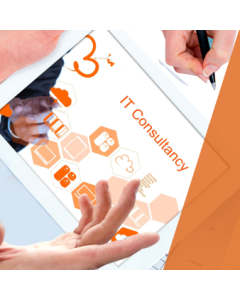 IT Consultant - 10