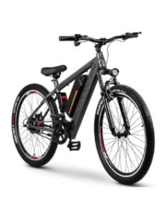 mountain electric cycle