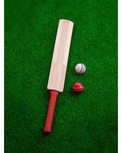 Cricket bat & ball