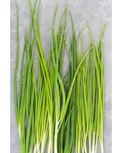 Lemon Grass