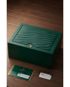 Rolex Sky-Dweller Launch Collection