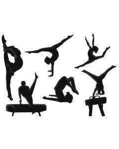 Gymnastics Classes - 5